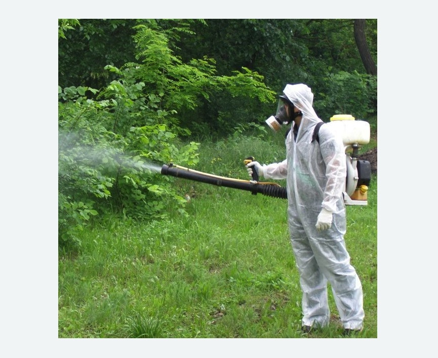 обработка территории от клещей в Кимовске