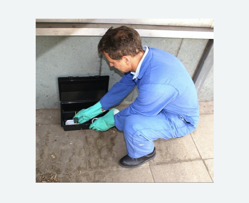 Уничтожение мышей в Кимовске Уничтожение мышей