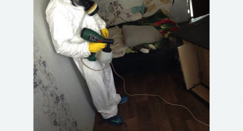 Обработка квартир от насекомых в Кимовске