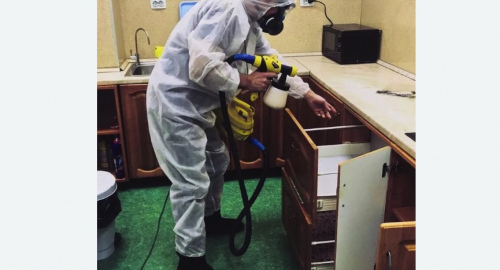 Дезинсекция квартиры. Кимовск