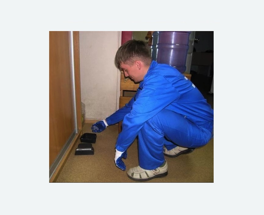 Дератизация крыс в Кимовске