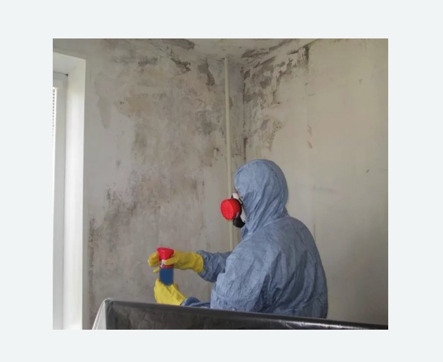 Удаление плесени в квартире в Кимовске