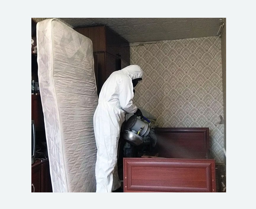 дезинфекция от клопов в Кимовске