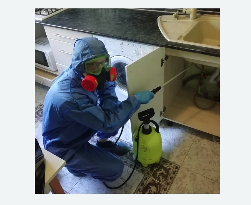 обработка от муравьев в квартире в Кимовске