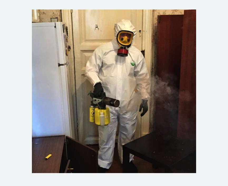 уничтожение муравьев в квартире в Кимовске